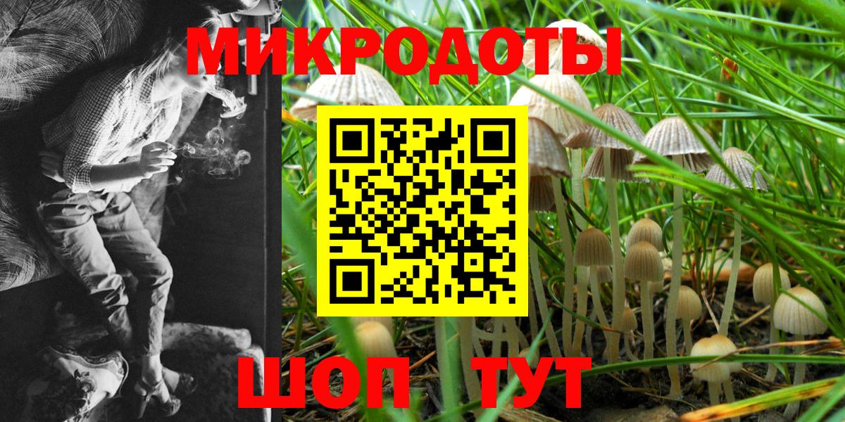 Псилоцибиновые грибы GOLDEN TEACHER  Вход с VPN  Санкт-Петербург  сколько стоит  Псилоцибиновые грибы прущие грибы 